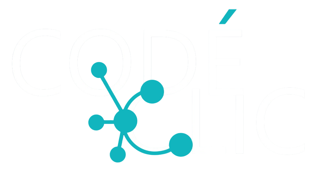 Proposer un nouveau parcours de formation, par la pratique, inclusif, innovant et pérenne à la conception d'outils numériques.